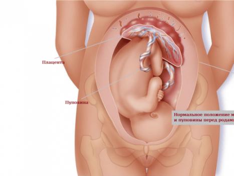 Рождение плаценты во время родов